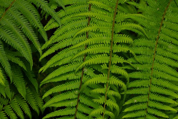 Jeux de Société Littéraires : Plongez dans le Divertissement et la Culture Française