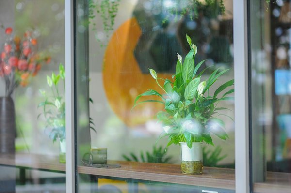 Acheter des followers instagram : panorama, enjeux et stratégie pour booster votre visibilité