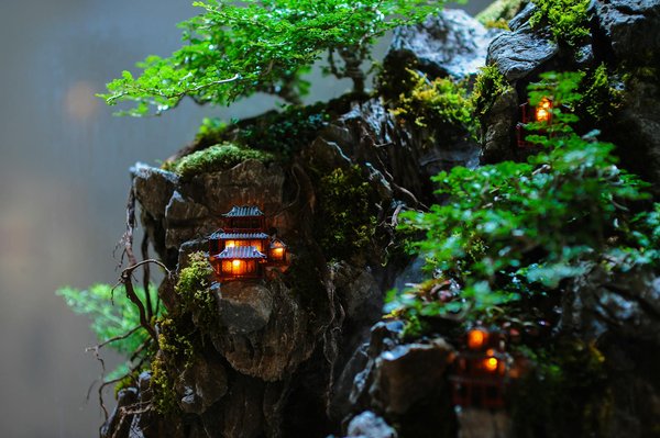 5 raisons d'adopter des panneaux solaires écologiques dès maintenant !