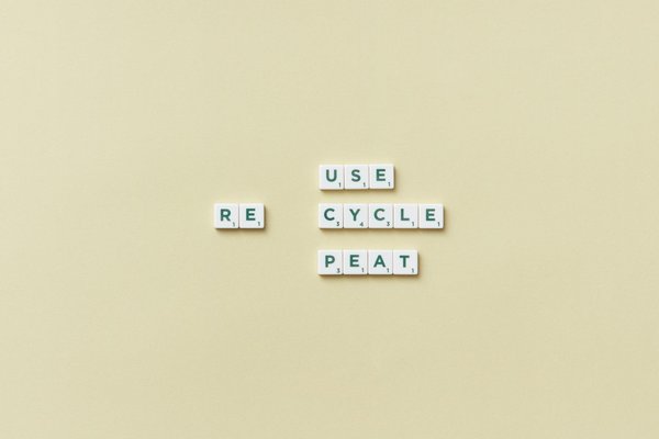 Lectures Jeunesse en France : Entre Apprentissage et Plaisir